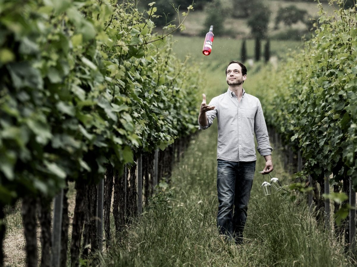 Weinprobe St. Martin: Weinberge des Weinguts Seeber an der Südlichen Weinstraße